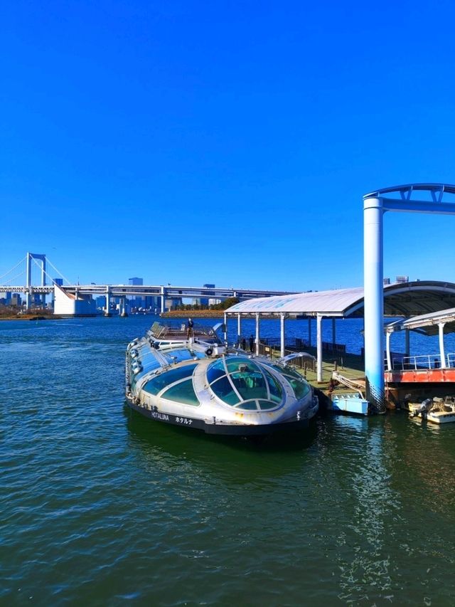 Cruise from Asakusa to Odaiba, Tokyo - Unforgettable experience!
