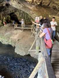 Lanterns, Legends, and Limestone: The Magic of Nam Lod Cave