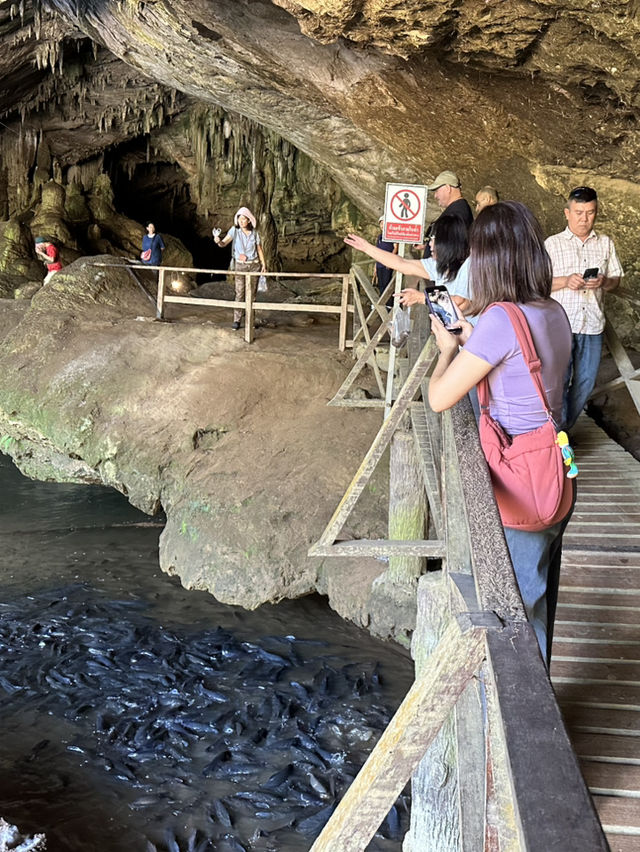 Lanterns, Legends, and Limestone: The Magic of Nam Lod Cave