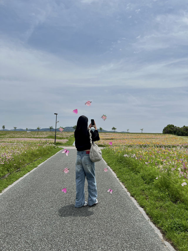 ไปฟุกุโอกะ จะเข้าใจคำว่า ‘เราไม่ต้องรีบ’ 🚶🏻‍♀️🍃