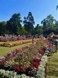 🌸【花に包まれる街】ダーリング・ダウンズの花祭りで彩りの旅