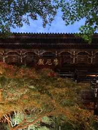【書写山圓教寺】静寂と荘厳が包む、心を整える山寺旅🧘‍♀️✨