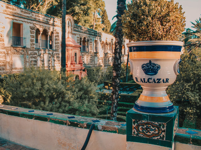 A Royal Stroll Through History – My Visit to Alcázar de Sevilla