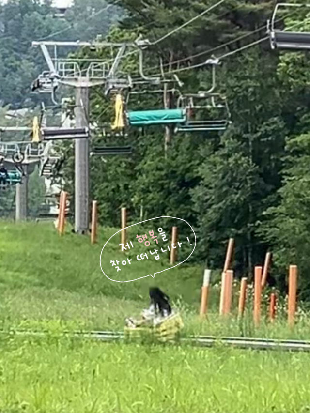 🇰🇷평창 1박 2일 | 대관령부터 용평까지 알차게 다녀온 코스