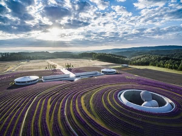 Buddha Hill in Hokkaido