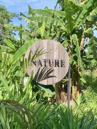 The Nature Samui