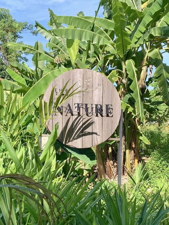 The Nature Samui