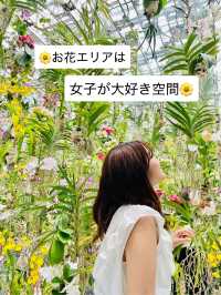 🌌チームラボTOKYOで全身アート体験✨