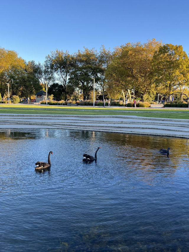 🌞白天版陶波湖真的巨好拍！旁邊還藏著一片金黃色的發呆公園🍂