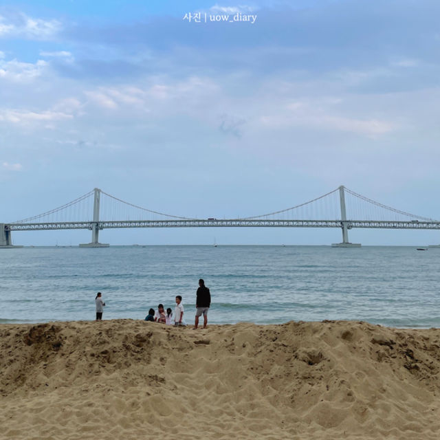 여름엔 뭐다? 역시 동해바다지 🌊🐳💙