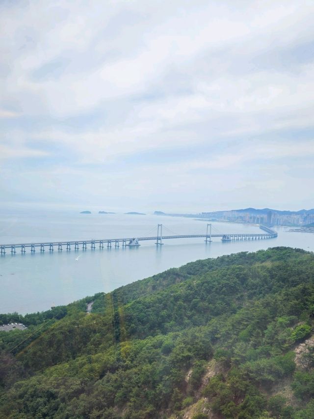 연화산 전망대는 정말 이뻐요