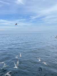 🌊🌴 Penghu Island – 3 Coastal Gems You Can’t Miss 