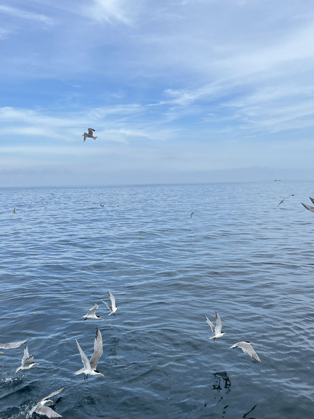 🌊🌴 Penghu Island – 3 Coastal Gems You Can’t Miss 