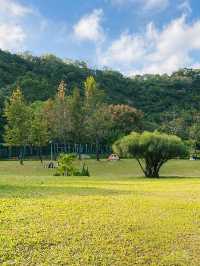 香港｜親子/野餐🧺好去處——佐敦谷公園