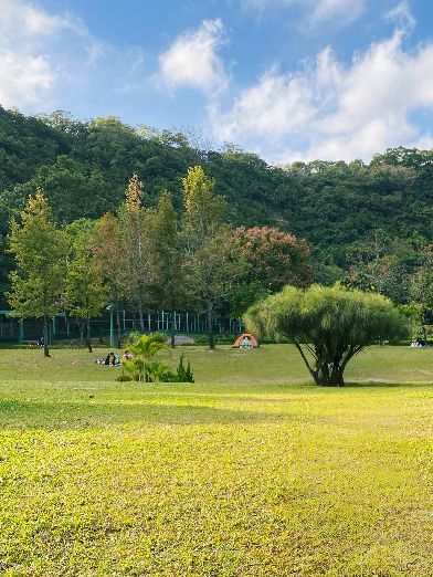香港｜親子/野餐🧺好去處——佐敦谷公園