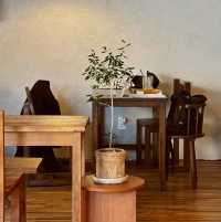 Kou Coffee