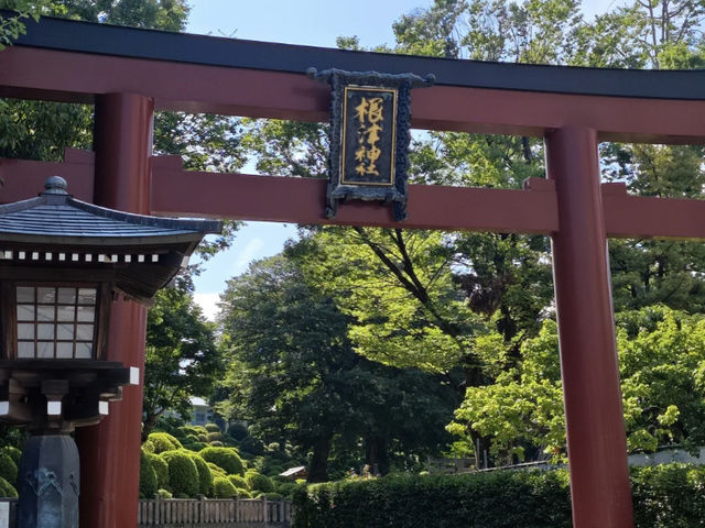 Half-Day Trip to Nezu Shrine & Yanaka Ginza from Tokyo! 🚶‍♀️⛩️