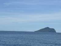 《《宜蘭賞鯨豚》牛奶湖與跳躍海豚的療癒片刻》