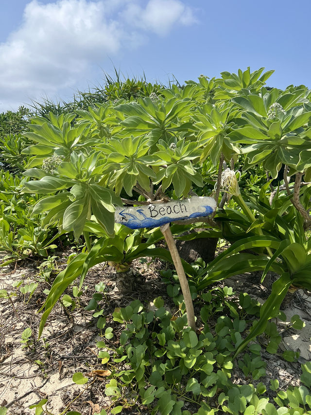 【宮古島カフェ】絶景を楽しめる宮古島のビーチテラスカフェ