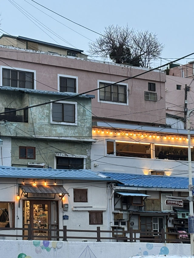 부산 강아지랑 가볼만한곳 추천 여행지