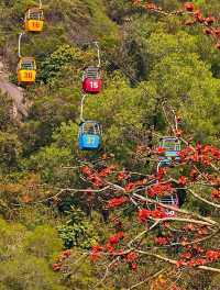 2D1N Zhuhai Summer Romantic  Chill