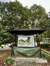 Sip, Breathe, Escape: Mimpi Hutan Café in the Garden of Eve