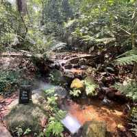 🍃Post-Hike Treat at Hill & Heal Café – A Hidden Gem in Kluang!🌿