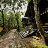 A Forest Sanctuary of Indulgence and Escape