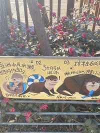 🧸✨ “ตามฝัน…ถึงสวนสัตว์เซี่ยงไฮ้” 🐼🌿