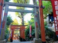Tunnel of Vermilion Blessings, the Senbon Torii of Otome Inari Shrine