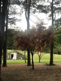 Early autumn on Nami Island