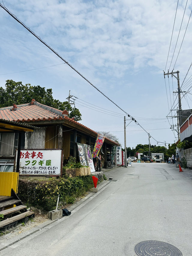Peaceful Escape in Northern Okinawa - Bise Village & Emerald Beach