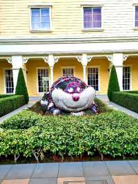 Wish upon a budget : Tokyo Disney Celebration Hotel Wish!