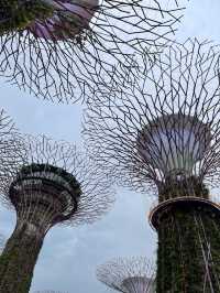  🌺 Gardens by the Bay – สวนล้ำโลกกลางสิงคโปร์