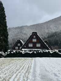 Shirakawago ลุ้นหิมะตกต้นธันวา!