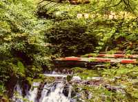Kifune Shrine (貴船神社) – Kyoto’s Enchanted Water Shrine** 🌊⛩️ 