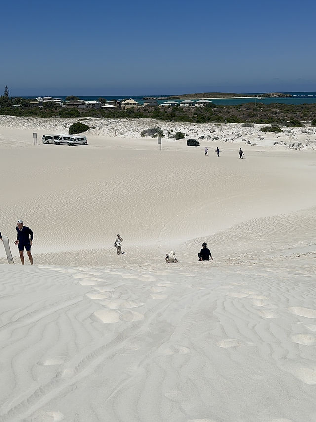 🏜️ Sandboarding in Lancelin – Perth’s Giant White Playground! 🏂☀️