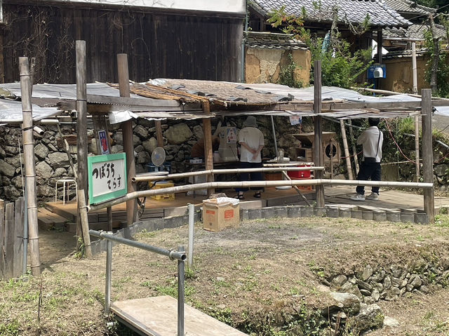 🇯🇵【愛媛】とべとべ川登市場！流しそうめんや手作り野菜(^^)