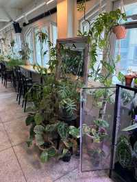 BCBL COFFEE ROASTERS