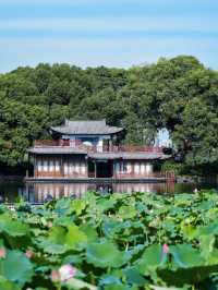 Quyuan Fenghe 🌱 