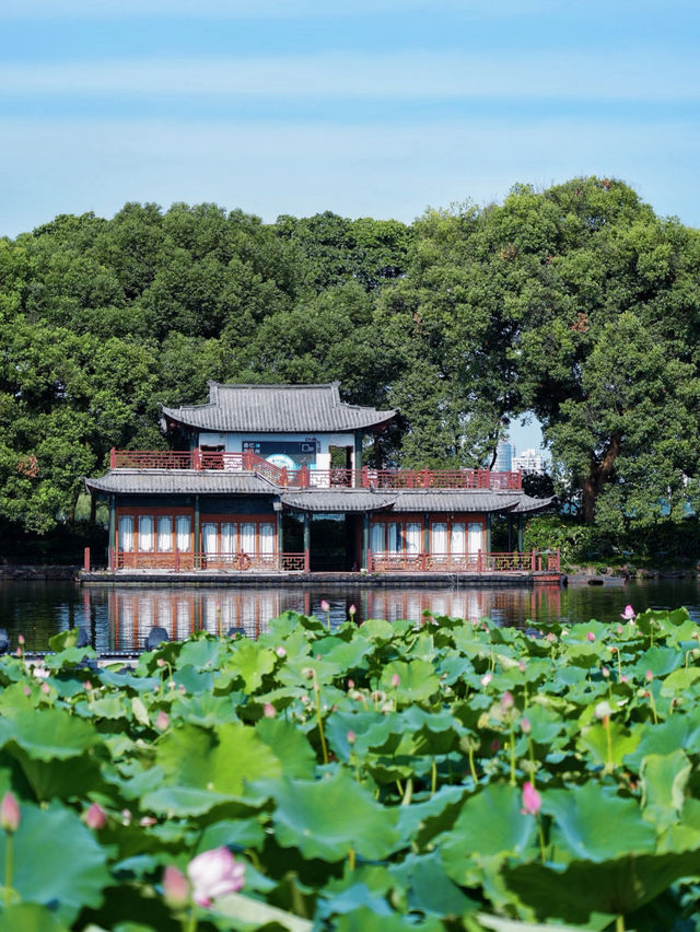Quyuan Fenghe 🌱 