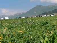 Nalati Sea of Flowers, A Summer Poem Under the Paraglider