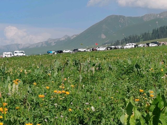 Nalati Sea of Flowers, A Summer Poem Under the Paraglider