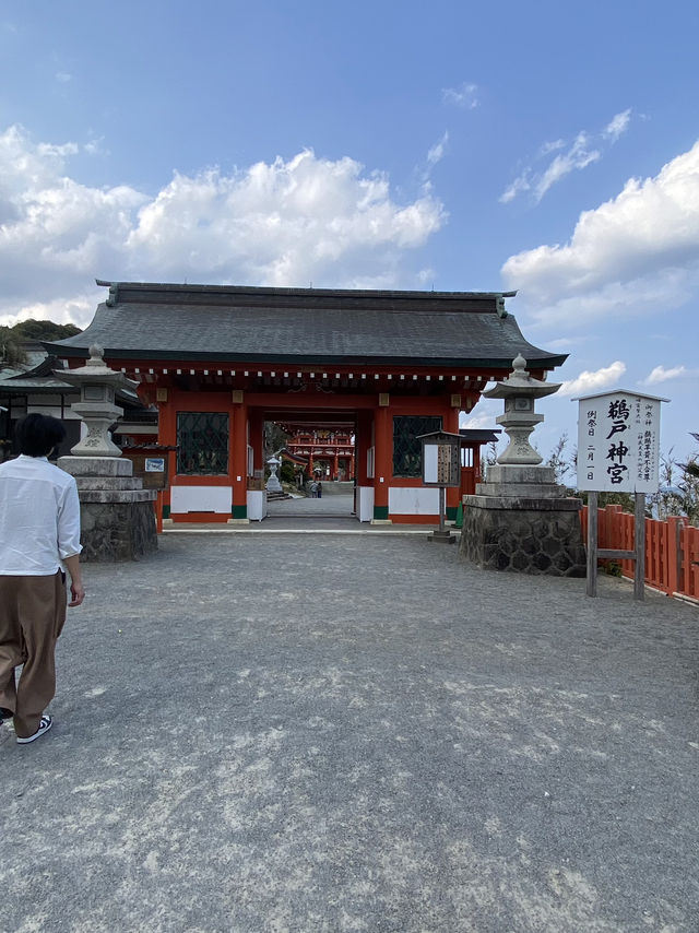 宮崎旅行　青島&鵜戸神宮