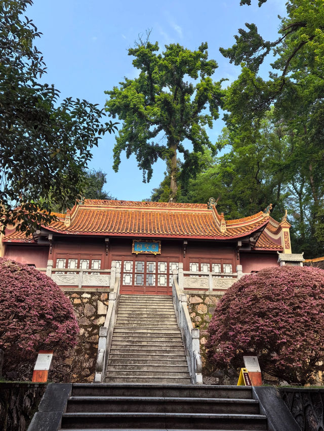 Yuelu Academy 📚 