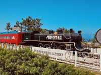 Jeongdongjin: Where Trains Meet the Sea – A Solo Traveler’s Coastal Meditation"** 🚞🌊