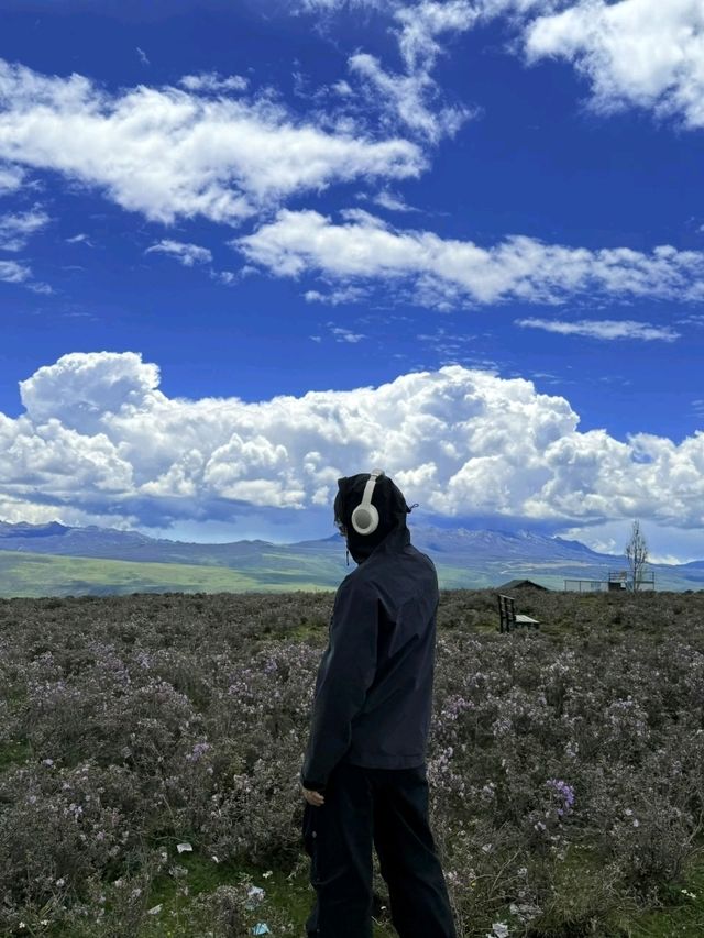 Yuzi West Grassland