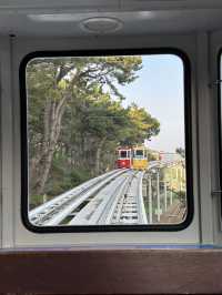 Mipo Sky Capsule – รถไฟฟ้าปุ๊กปิ๊กสุดน่ารัก 🚂