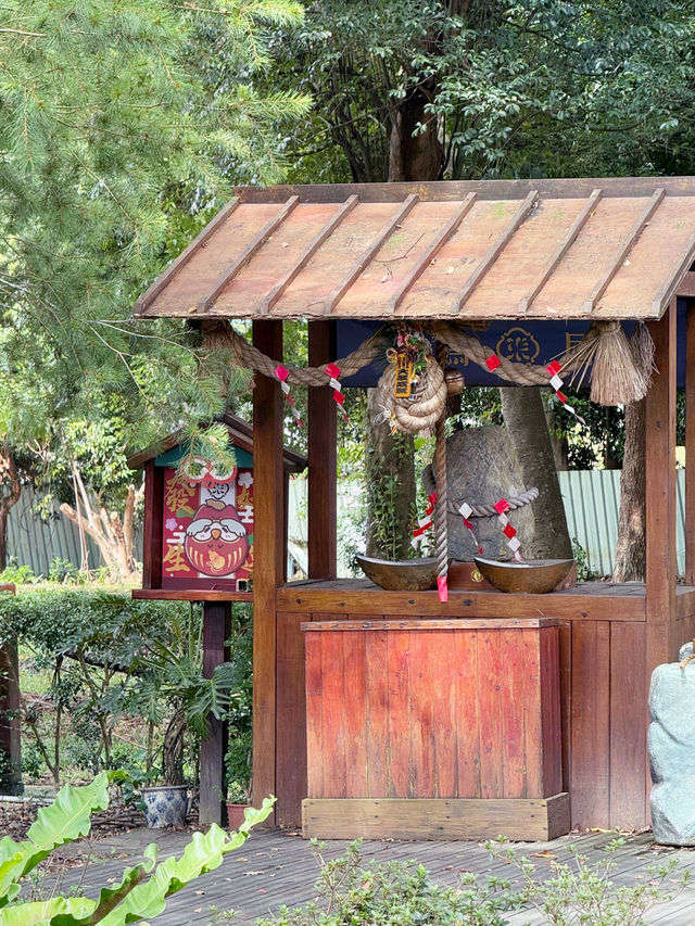 ⛩️南投埔里鳥居Torii喫茶食堂