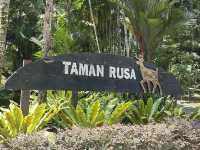 A Peaceful Escape at Perdana Botanical Park